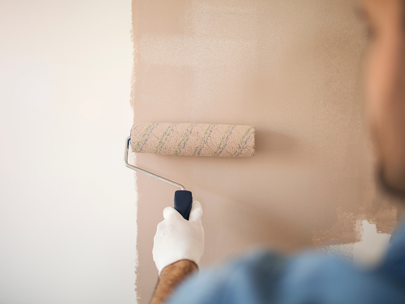Peinture intérieure par Acari Finitions